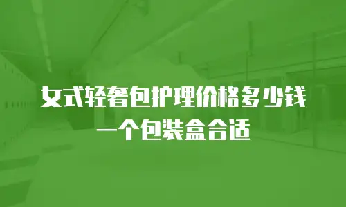 女式轻奢包护理价格多少钱一个包装盒合适