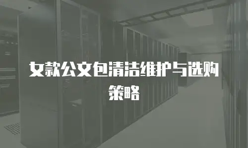 女款公文包清洁维护与选购策略