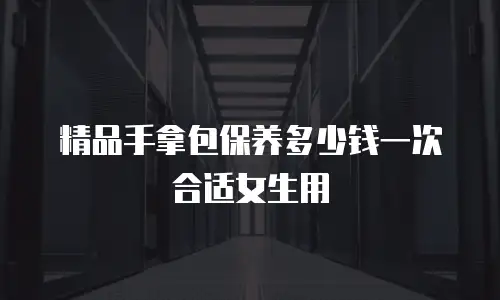 精品手拿包保养多少钱一次合适女生用