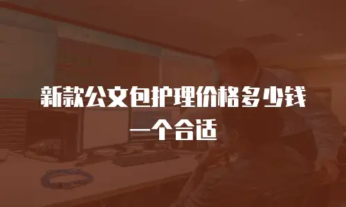新款公文包护理价格多少钱一个合适