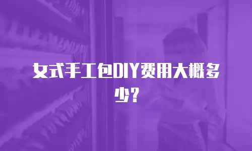 女式手工包DIY费用大概多少？