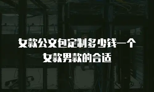 女款公文包定制多少钱一个女款男款的合适
