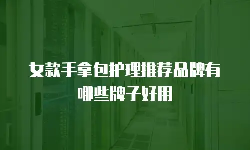 女款手拿包护理推荐品牌有哪些牌子好用