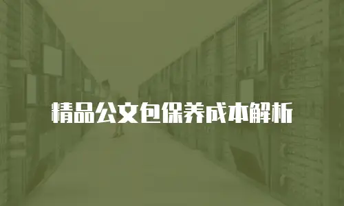 精品公文包保养成本解析