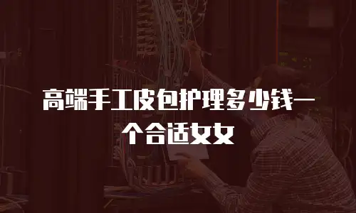 高端手工皮包护理多少钱一个合适女女