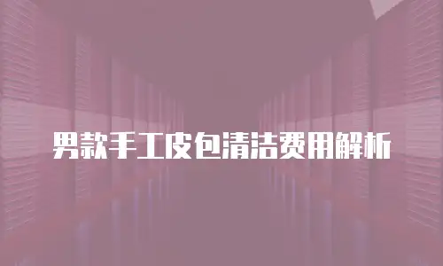 男款手工皮包清洁费用解析