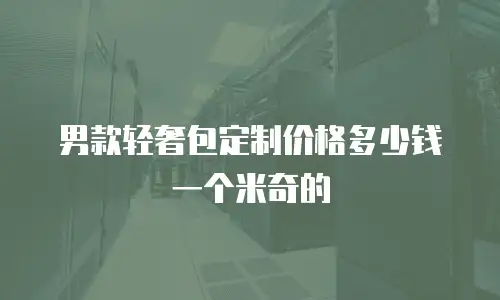 男款轻奢包定制价格多少钱一个米奇的