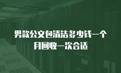 男款公文包清洁多少钱一个月回收一次合适
