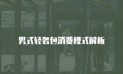 男式轻奢包消费模式解析