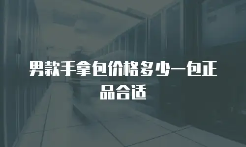 男款手拿包价格多少一包正品合适