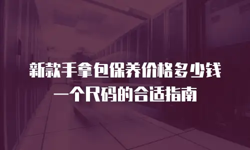 新款手拿包保养价格多少钱一个尺码的合适指南