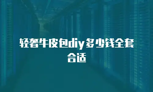 轻奢牛皮包diy多少钱全套合适