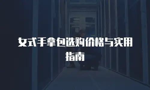 女式手拿包选购价格与实用指南