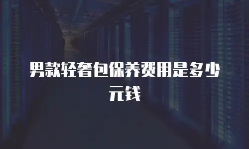 男款轻奢包保养费用是多少元钱