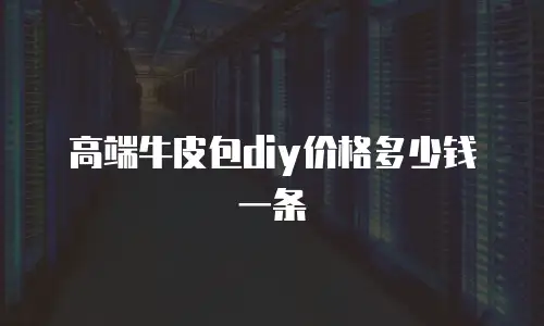 高端牛皮包diy价格多少钱一条