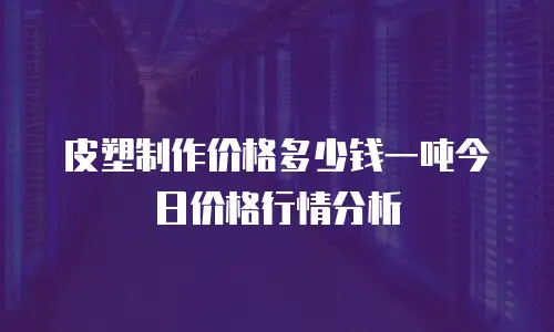 皮塑制作价格多少钱一吨今日价格行情分析