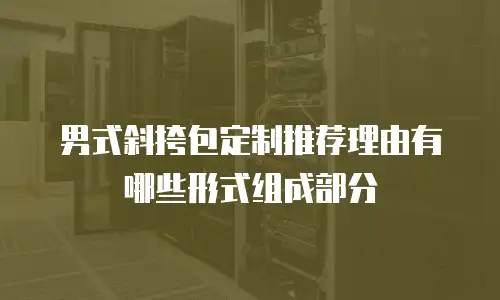 男式斜挎包定制推荐理由有哪些形式组成部分
