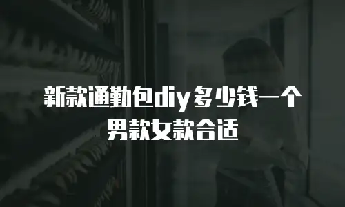 新款通勤包diy多少钱一个男款女款合适