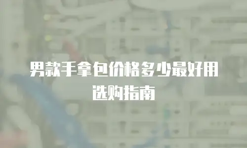 男款手拿包价格多少最好用选购指南