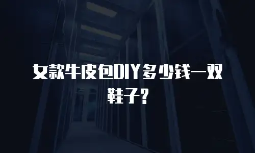 女款牛皮包DIY多少钱一双鞋子?