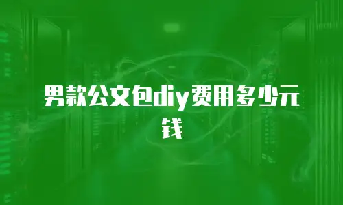 男款公文包diy费用多少元钱