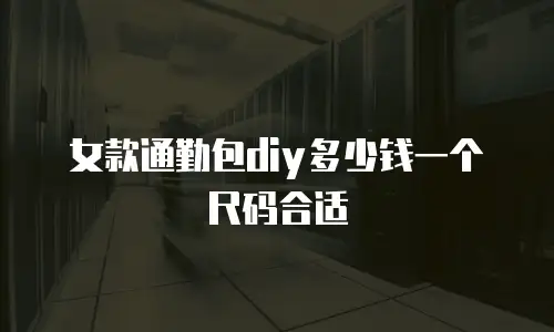 女款通勤包diy多少钱一个尺码合适