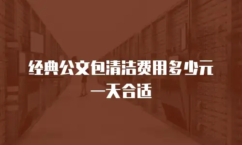 经典公文包清洁费用多少元一天合适