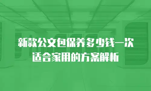新款公文包保养多少钱一次适合家用的方案解析