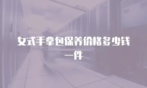 女式手拿包保养价格多少钱一件