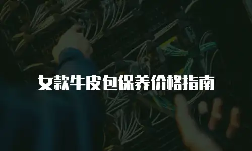 女款牛皮包保养价格指南