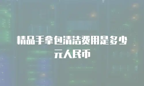 精品手拿包清洁费用是多少元人民币