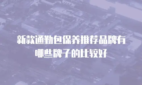 新款通勤包保养推荐品牌有哪些牌子的比较好