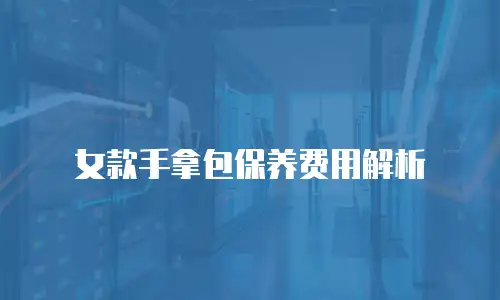 女款手拿包保养费用解析