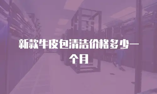 新款牛皮包清洁价格多少一个月