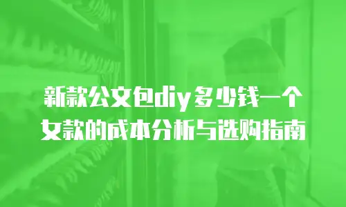 新款公文包diy多少钱一个女款的成本分析与选购指南