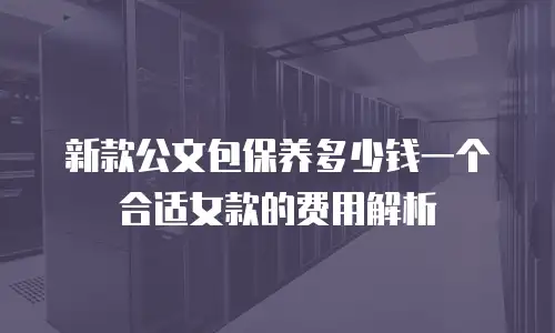 新款公文包保养多少钱一个合适女款的费用解析