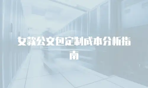 女款公文包定制成本分析指南