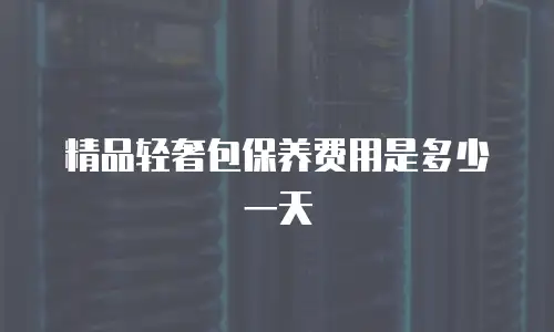 精品轻奢包保养费用是多少一天