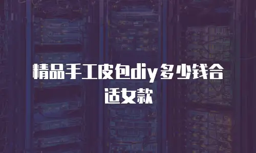 精品手工皮包diy多少钱合适女款