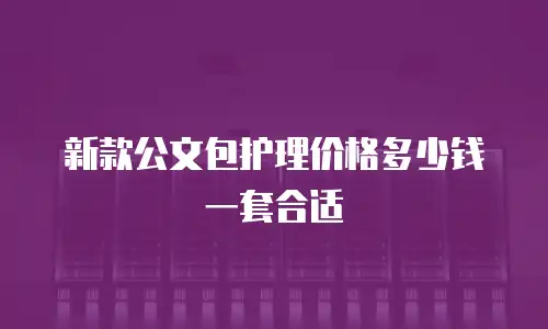新款公文包护理价格多少钱一套合适