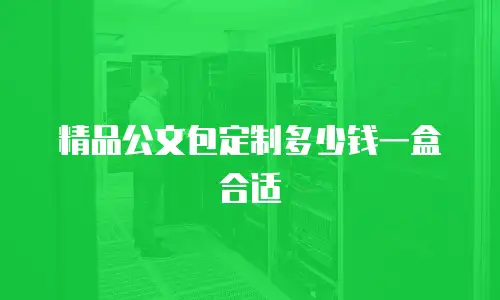 精品公文包定制多少钱一盒合适