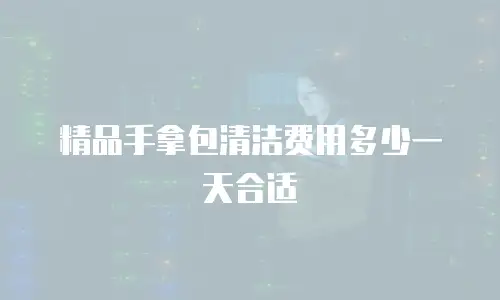 精品手拿包清洁费用多少一天合适
