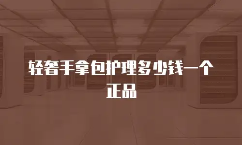 轻奢手拿包护理多少钱一个正品