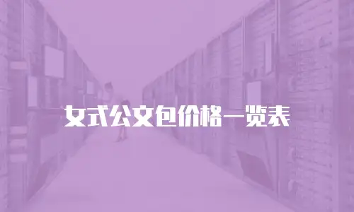 女式公文包价格一览表
