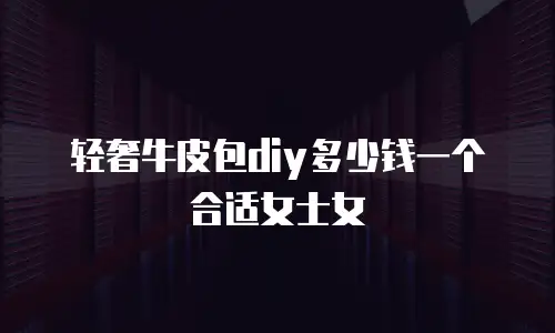 轻奢牛皮包diy多少钱一个合适女士女