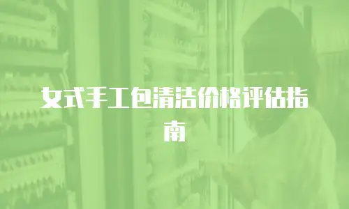 女式手工包清洁价格评估指南