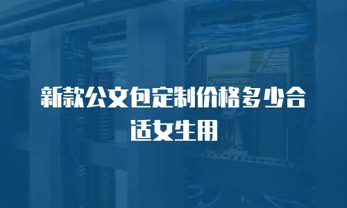 新款公文包定制价格多少合适女生用