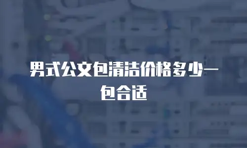 男式公文包清洁价格多少一包合适