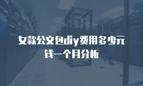 女款公文包diy费用多少元钱一个月分析