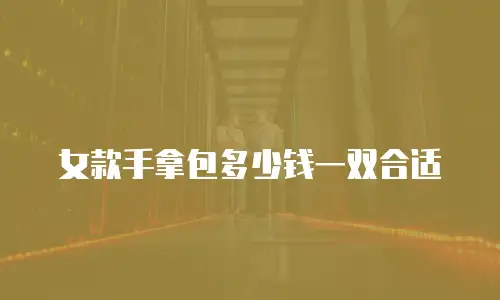女款手拿包多少钱一双合适